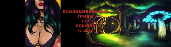 кокс Няндома
